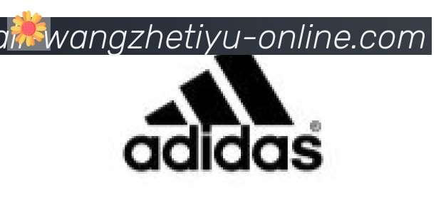 王者体育直播合作伙伴