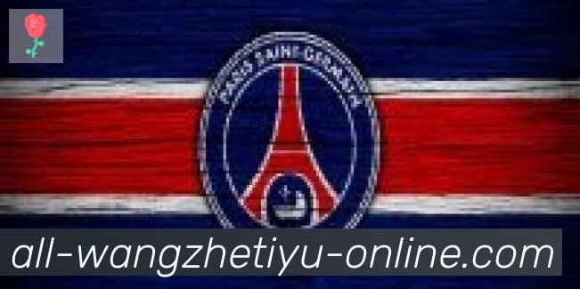 王者体育直播合作伙伴